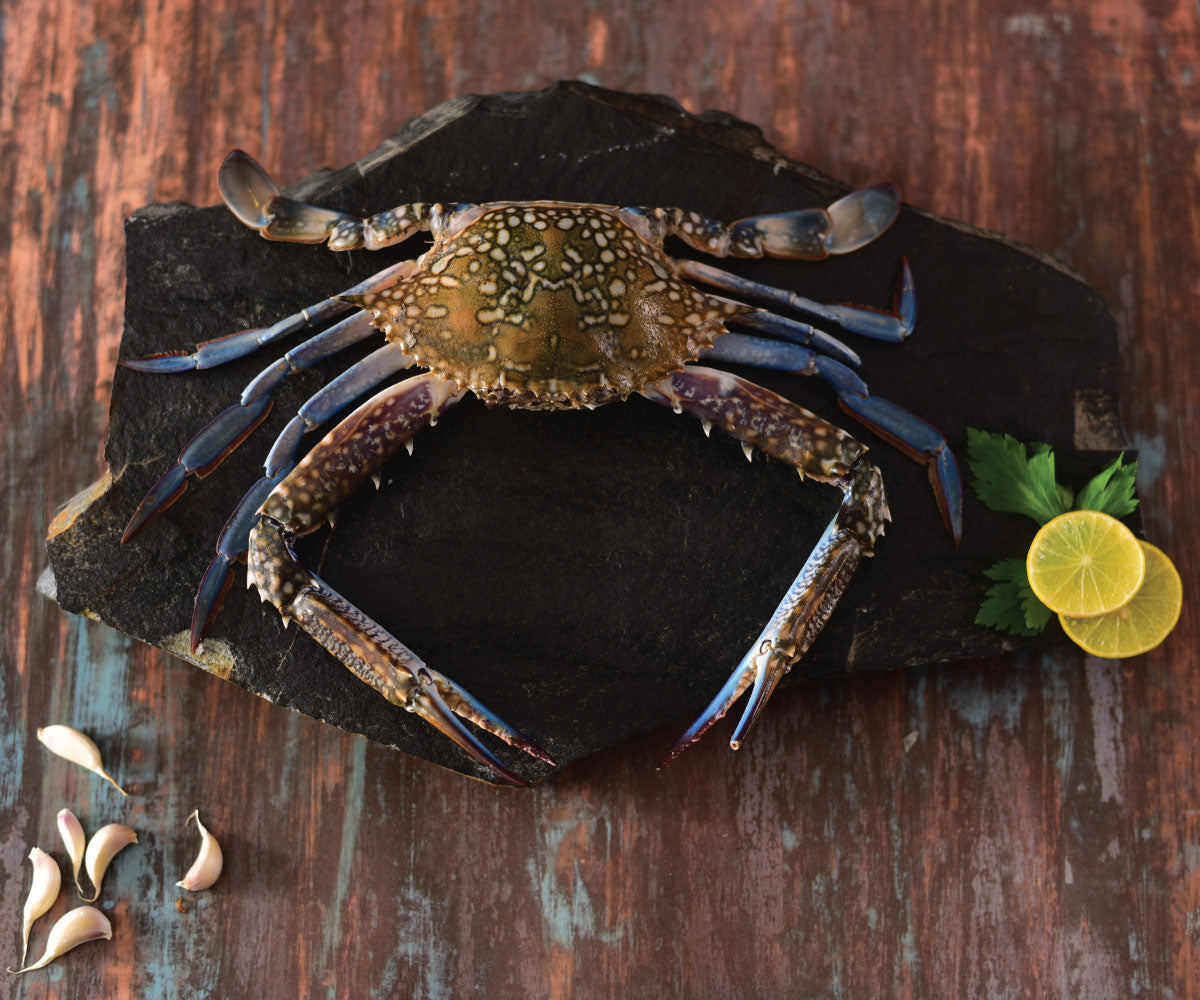 Blue Crab